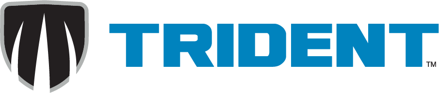 Trident Protects professional concrete and paver sealing products used by Georgia Wash.